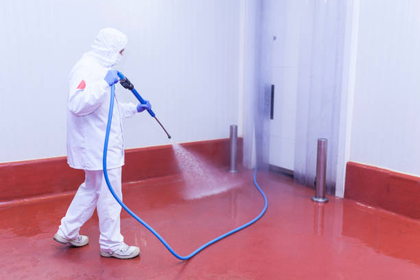 Best Dumpster Area Cleaning  in Bard College, NY